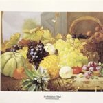 AN ABUNDANCE OF FRUIT - 8x10 Inch