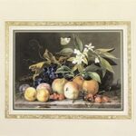 FRUIT BLOSSOM, CABBAGE WHITE ON A MARBLE LEDGE - 8x10 Inch