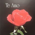 TE AMO II ( I LOVE YOU ), SPANISH VERSION - 8x10 Inch