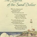 THE LEGEND OF THE SAND DOLLAR - 8x10 Inch