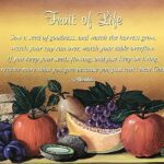 FRUIT OF LIFE I - 8x20 Inch