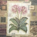 GLOBAL BOTANICAL - 8x10 Inch