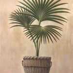 WENKIN'S POTTED PALM - 8x10 Inch