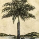 PALM PARADISE - 8x10 Inch