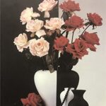 HALF & HALF ( ROSES ) - 8x10 Inch