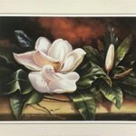 ELEGANT MAGNOLIA II - 8x10 Inch