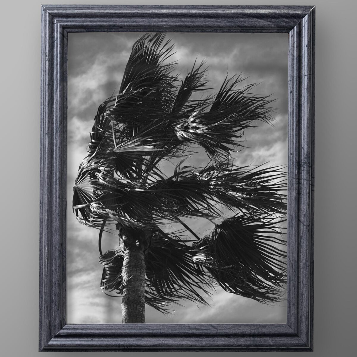 il_fullxfull.6432895980_hc8a.jpg Charcoal Gray .75" Solid Wood Picture Frame - Image 2