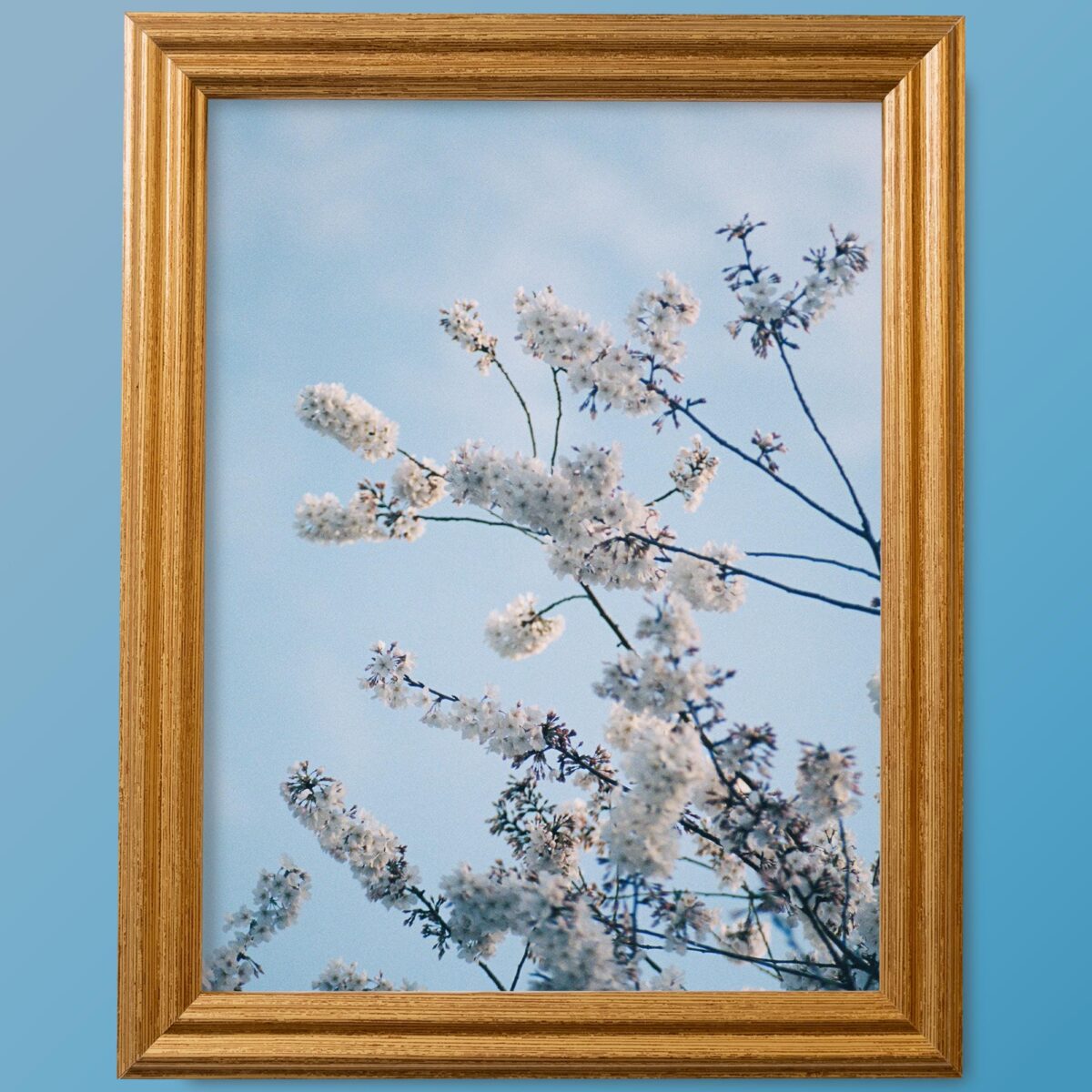 Honey Gold .75" Solid Wood Picture Frame - Image 3