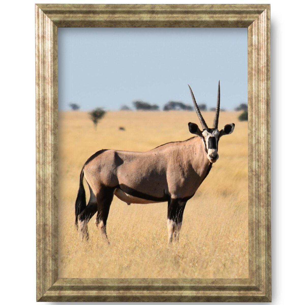 il_fullxfull.6879849993_zz87.jpg .75 inch Desert Brass Solid Wood Picture Frame - Image 1