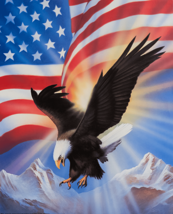 American Eagle art print by Dewey