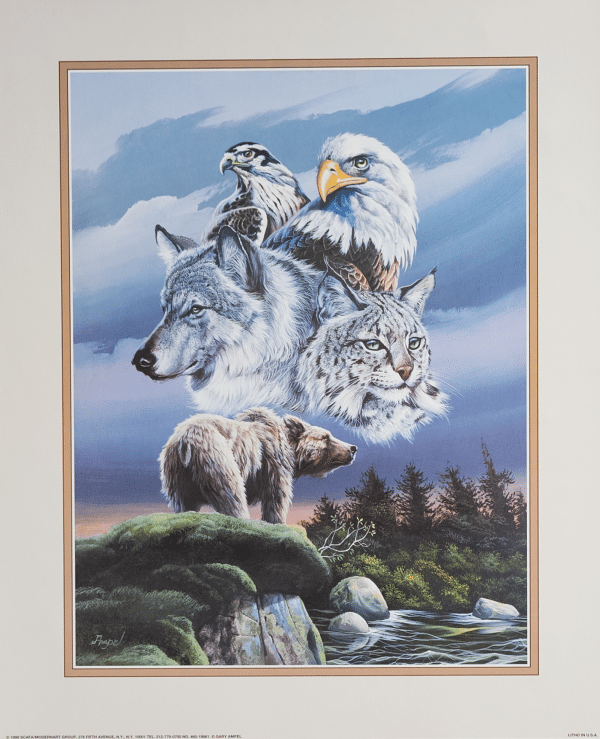 Animal Montage by Ampel, Art Poster Print for Wall, Home Decor