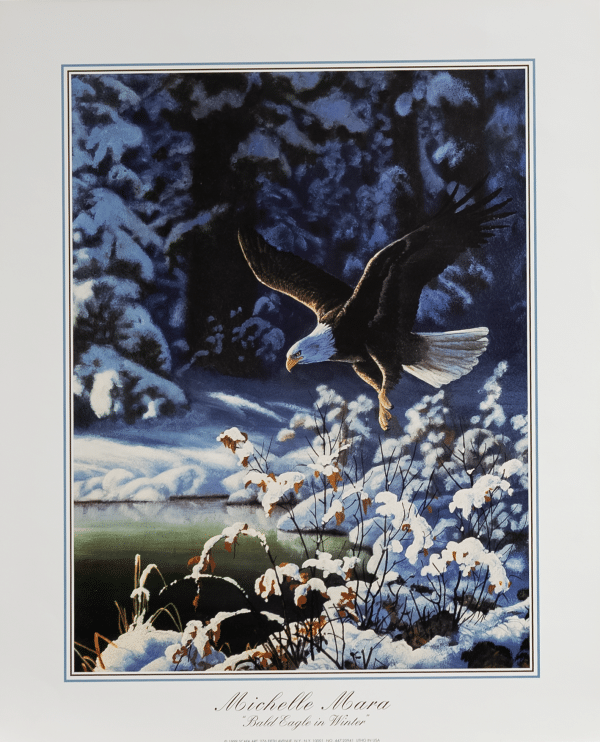 Bald Eagle in Winter by Mara, Art Poster Print for Wall, Home Decor