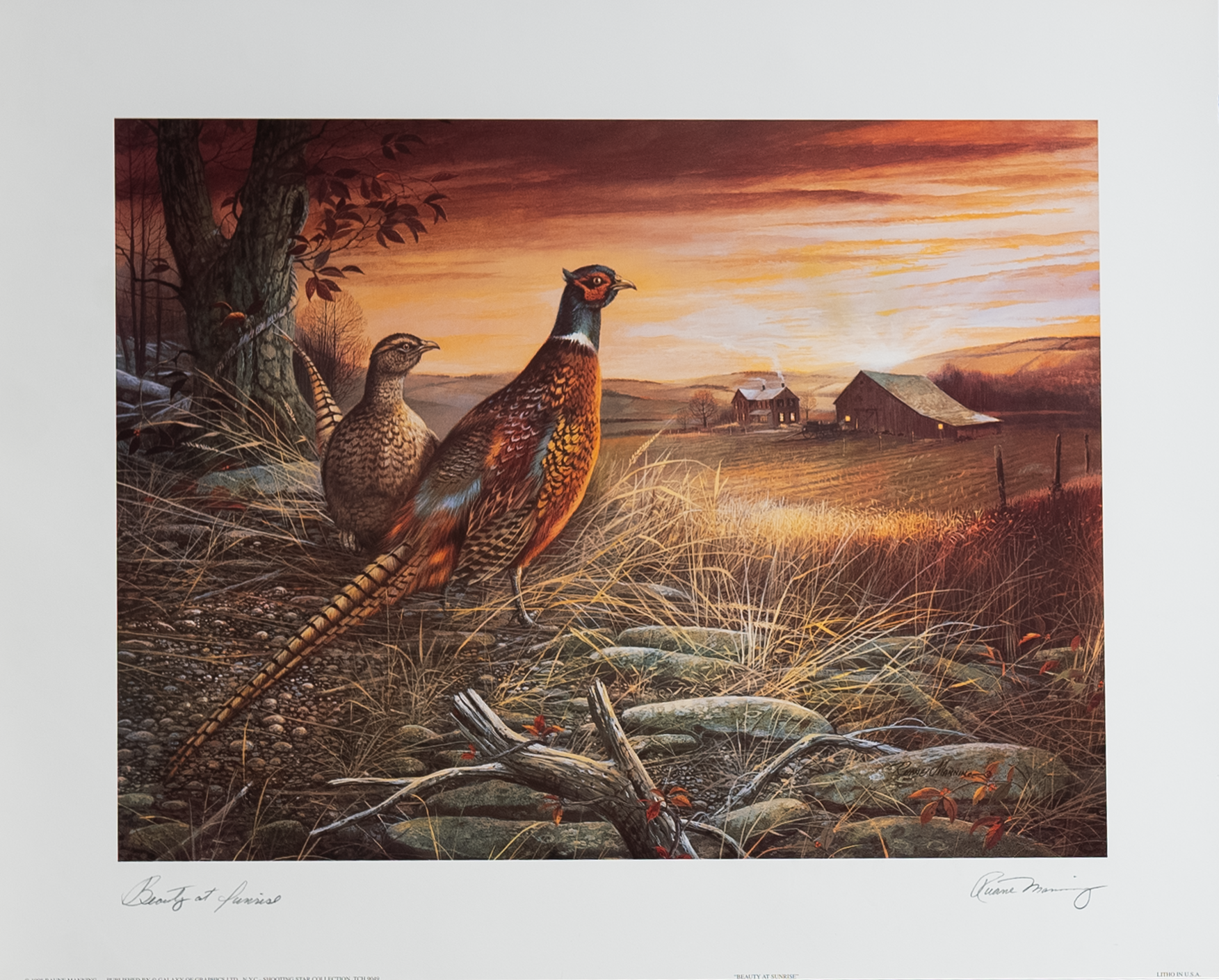 Beauty at Parnish by Manning, Art Poster Print for Wall, Home Decor