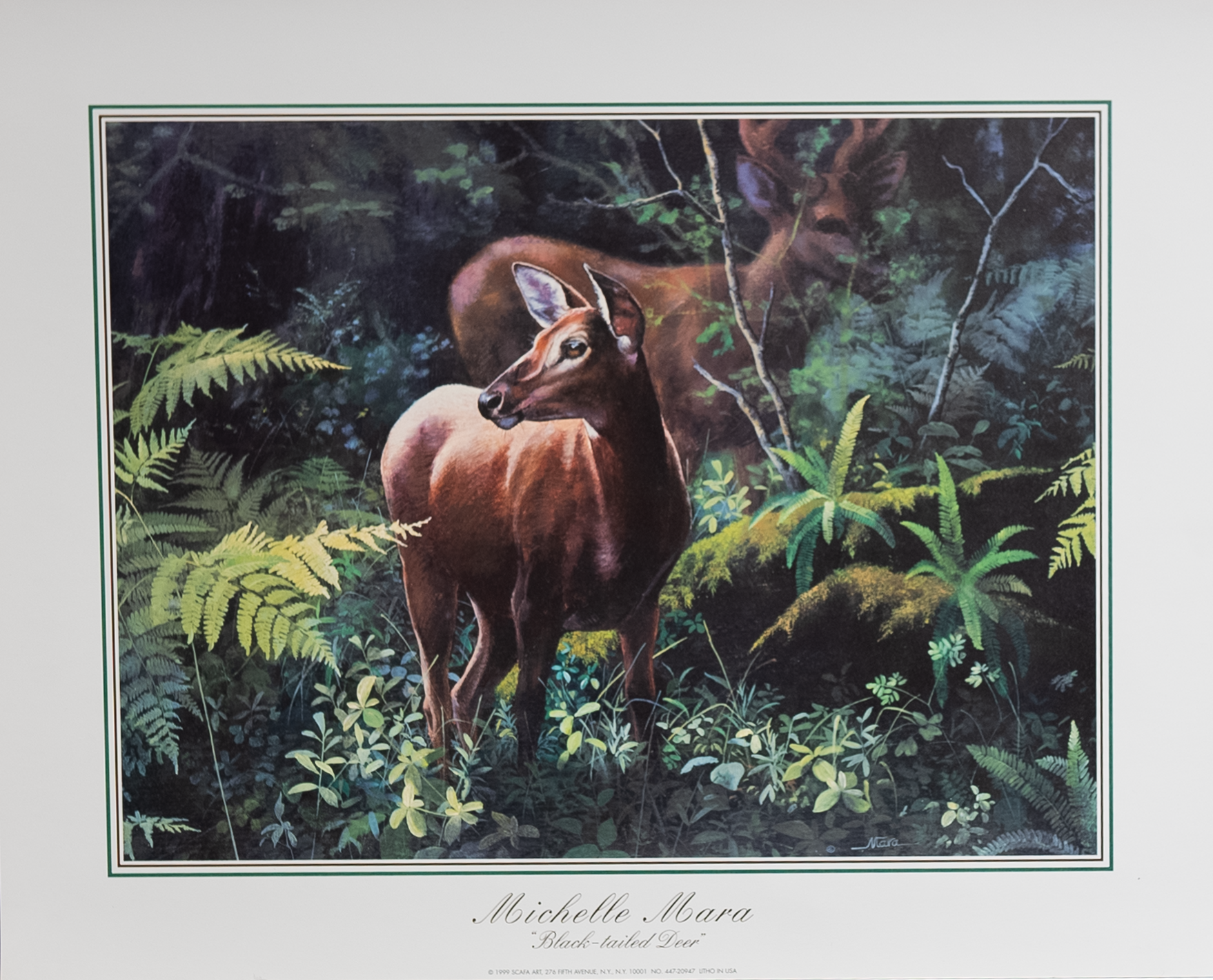 Black Tailed Deer by Mara, Art Poster Print for Wall, Home Decor