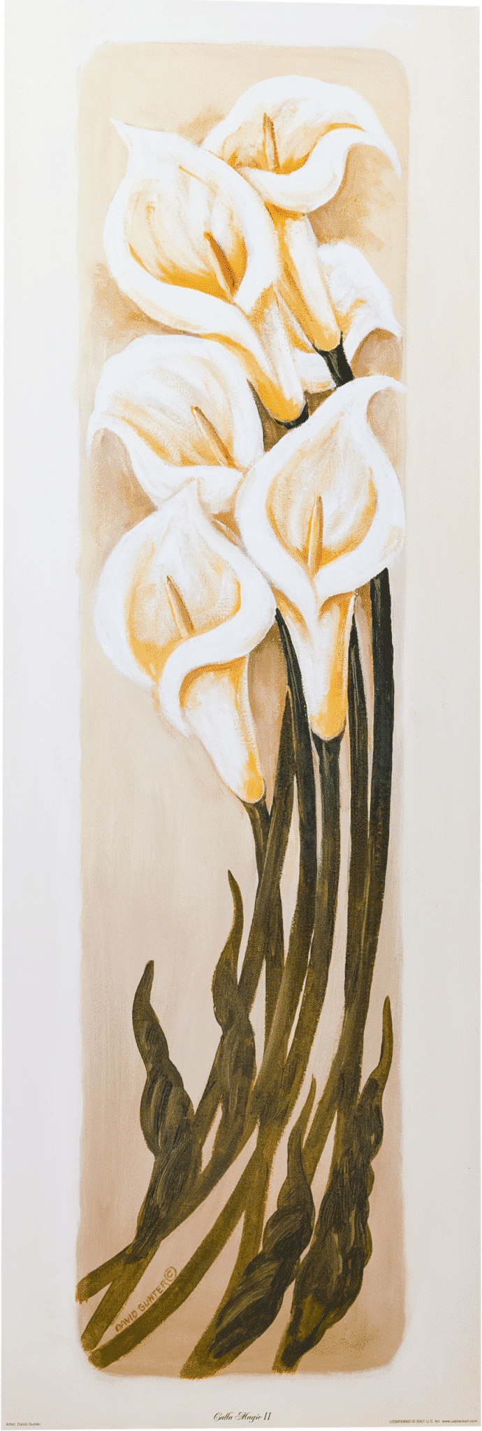 Caffa Magic II art print by David Gunter