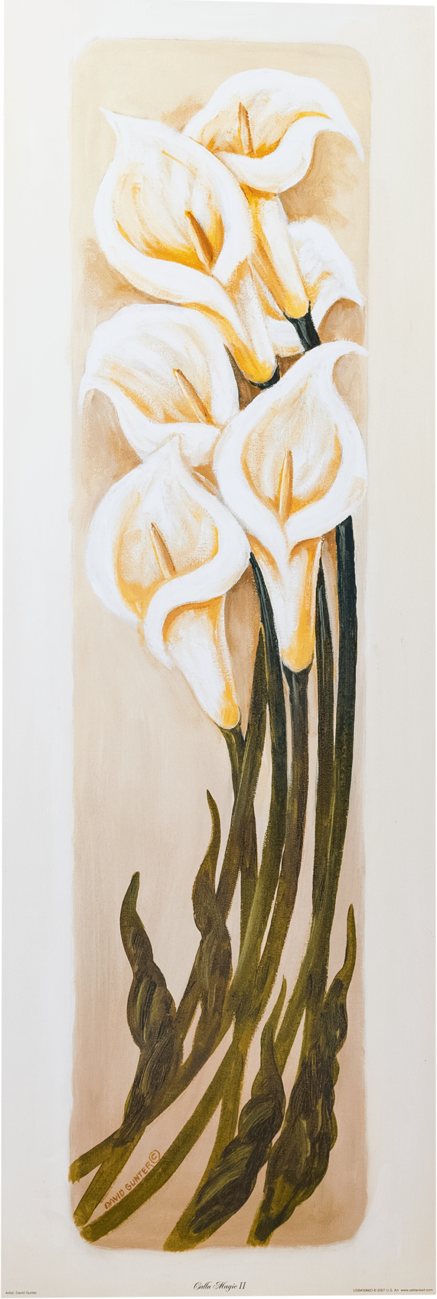 Caffa Magic II by David Gunter, Art Poster Print for Wall, Home Decor - Image 1