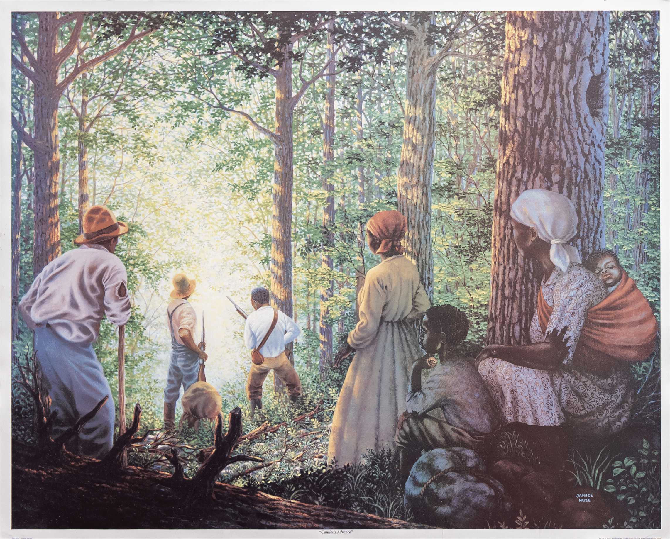 Cautious Advance by Janice Hues, Art Poster Print for Wall, Home Decor - Image 1