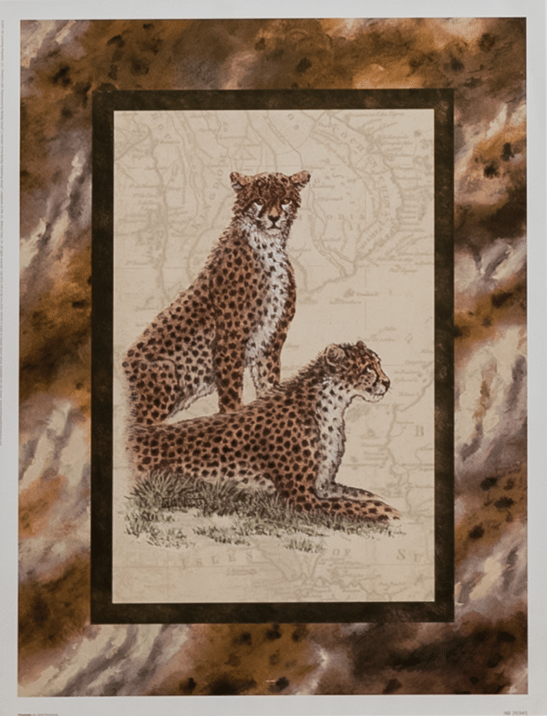 Cheetahs by Kruskamp, Art Poster Print for Wall, Home Decor