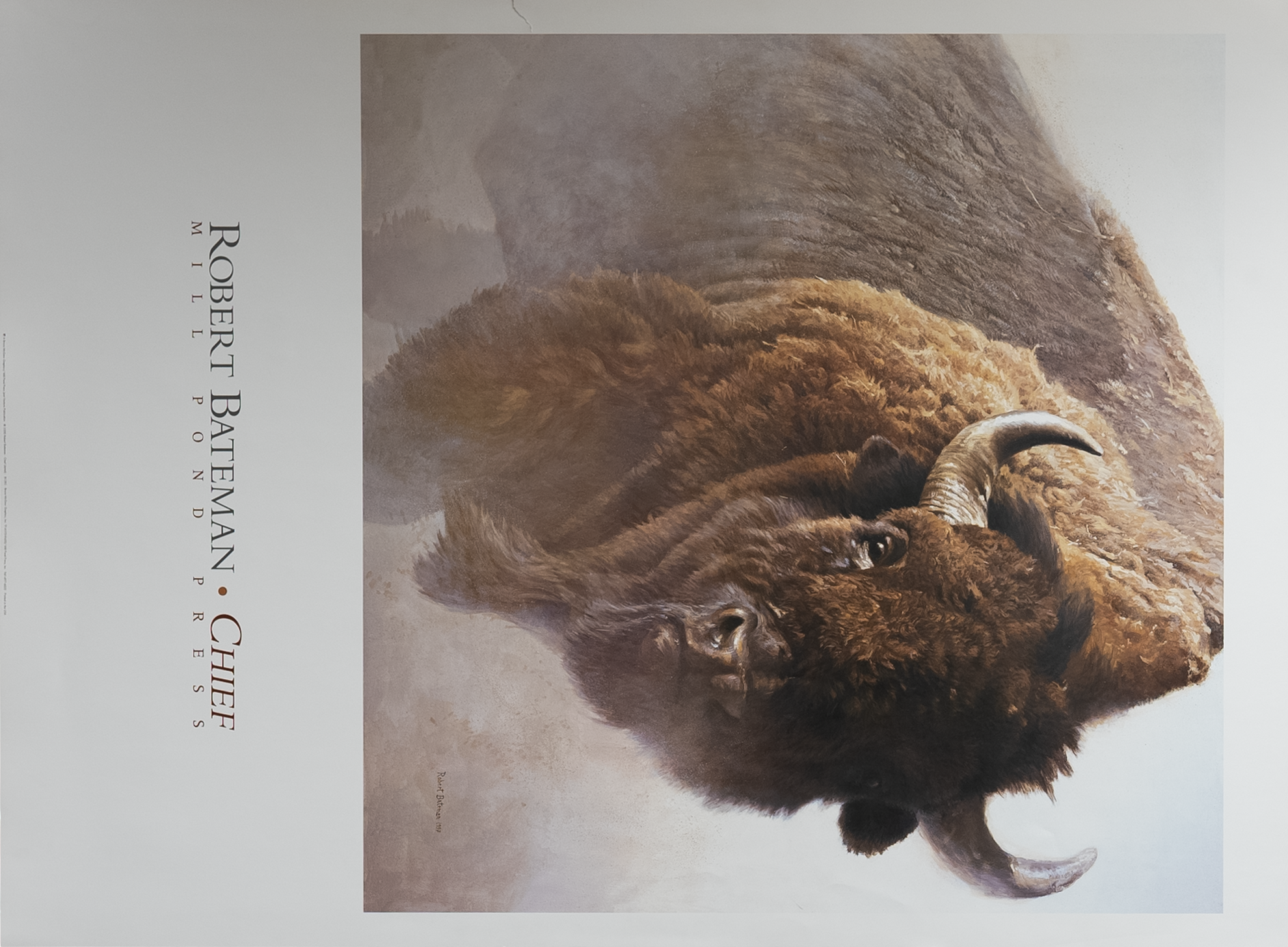 Chief by Bateman, Art Poster Print for Wall, Home Decor