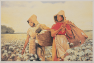 Cotton Fields by Alix Beaujour, Art Poster Print for Wall, Home Decor
