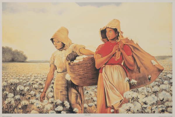 Cotton Fields art print by Alix Beaujour