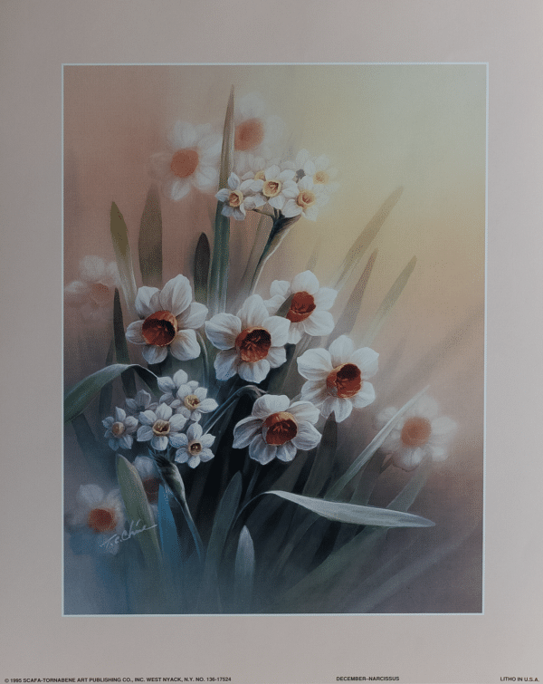 December by Narcissus - Chin, Art Poster Print for Wall, Home Decor