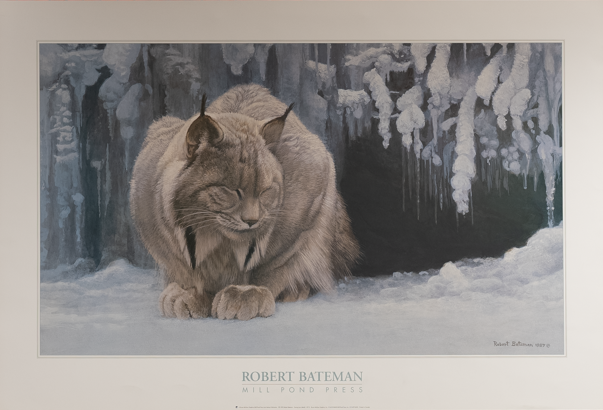 Dozing Lynx by Bateman, Art Poster Print for Wall, Home Decor