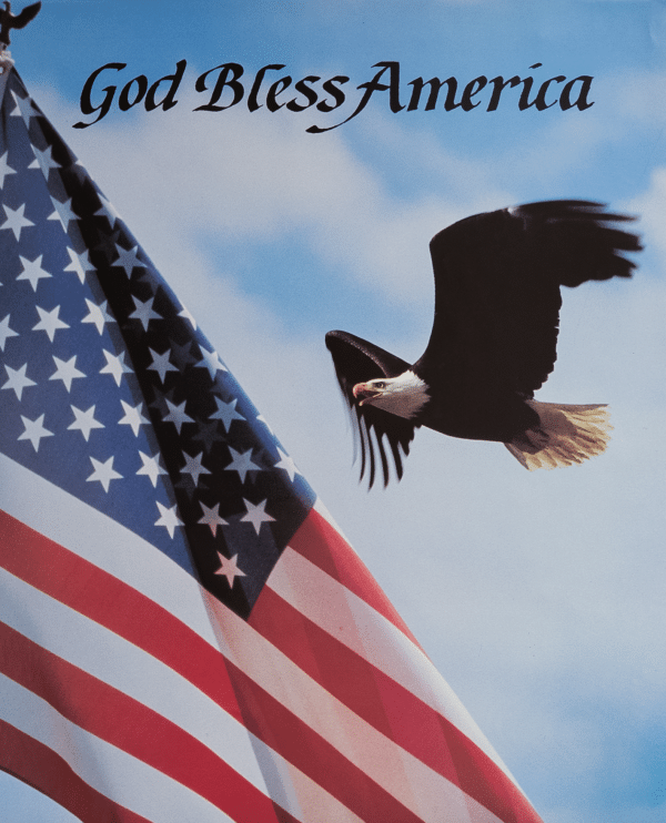 Eagle + US Flag by Leesons, Art Poster Print for Wall, Home Decor