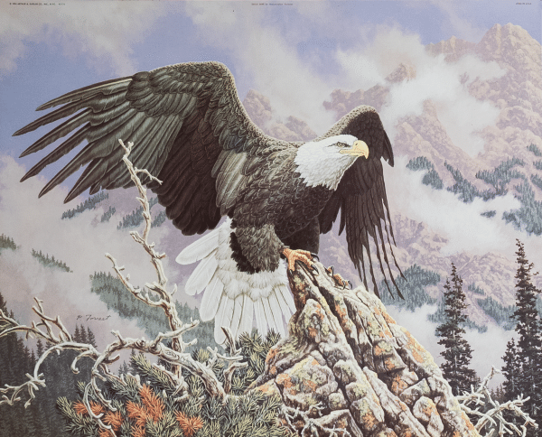 Eagle Dawn by Forres, Art Poster Print for Wall, Home Decor
