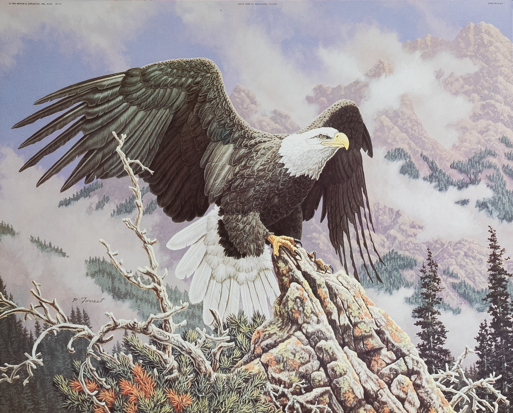 Eagle Dawn by Forres, Art Poster Print for Wall, Home Decor
