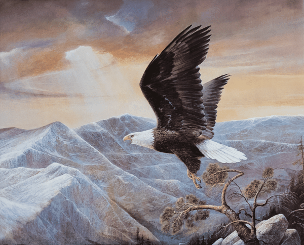Eagle in Flight I art print by Manning