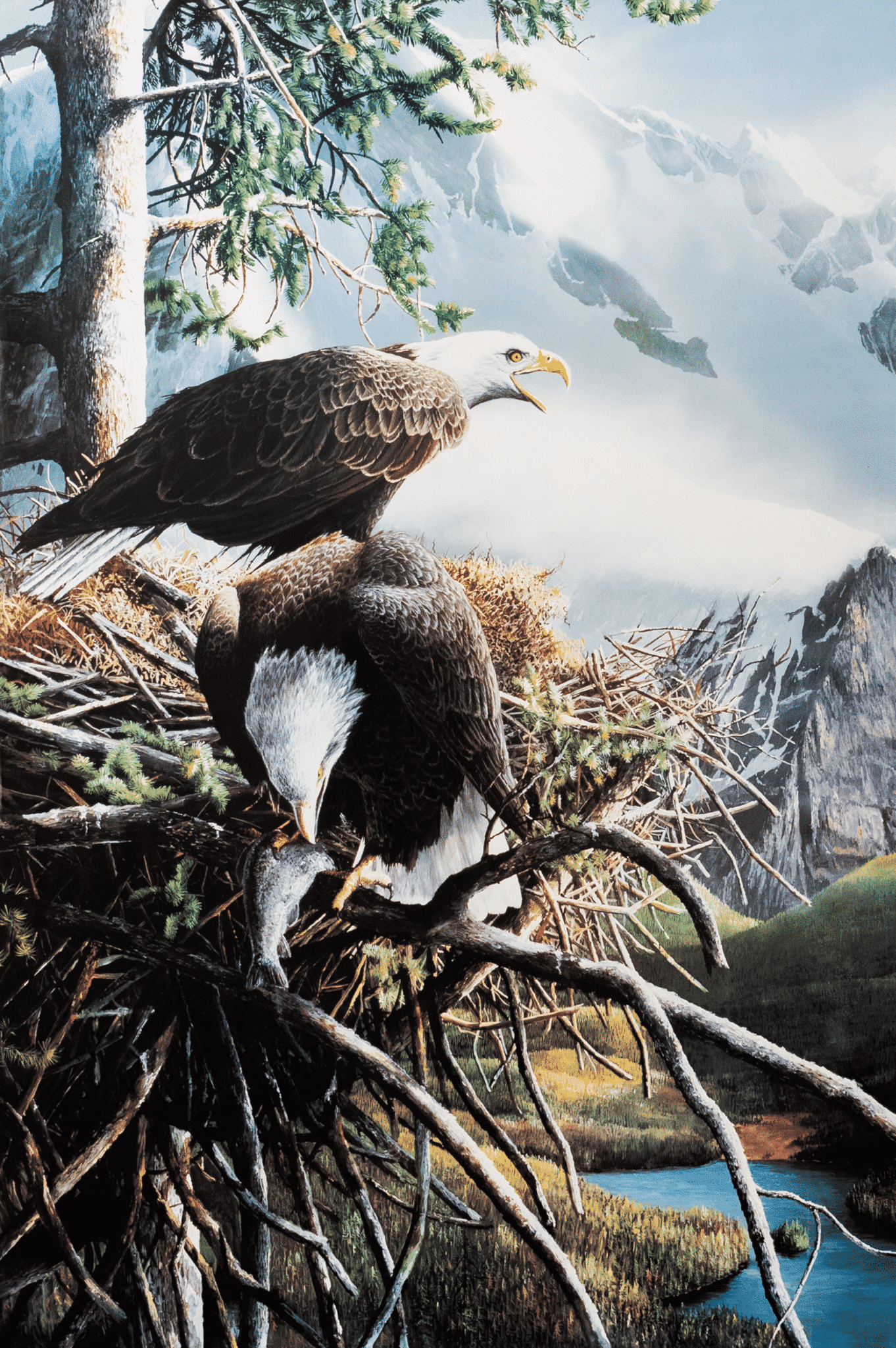 Eagles + Mountain art print by Daniel