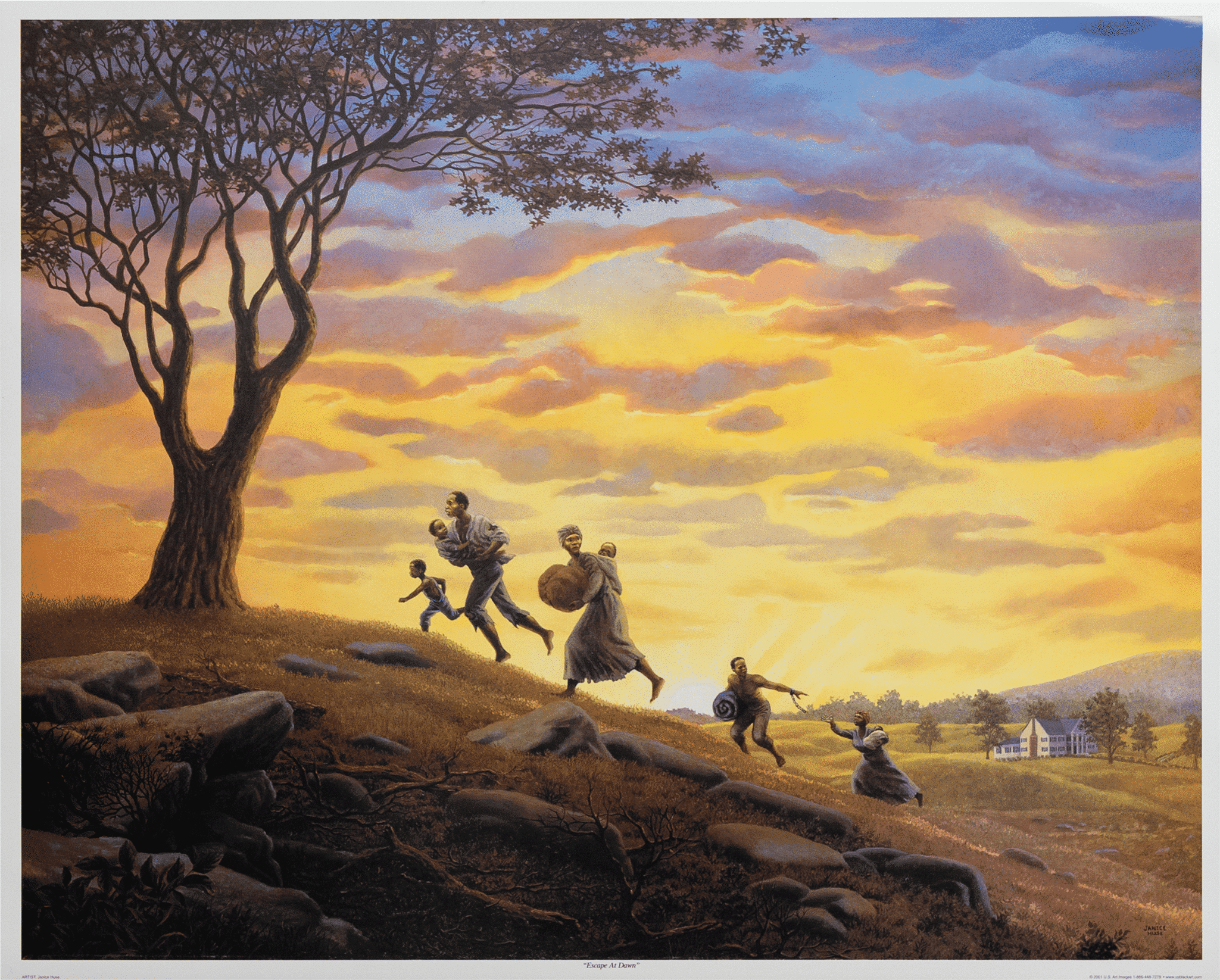 Escape at Dawn art print by Janice Hues