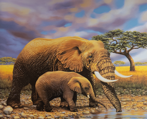 Elephants  at the Waterhole by Huse, Art Poster Print for Wall, Home Decor