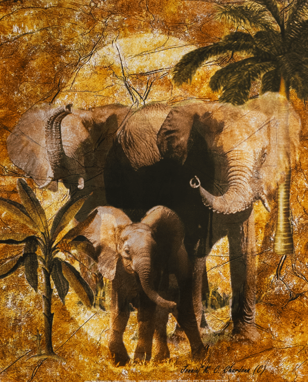 Elephants I art print by Chardonn