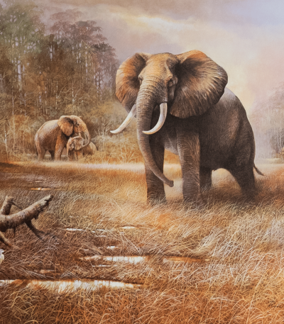 Elephants II art print by Manning