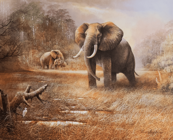 Elephants II art print by Manning