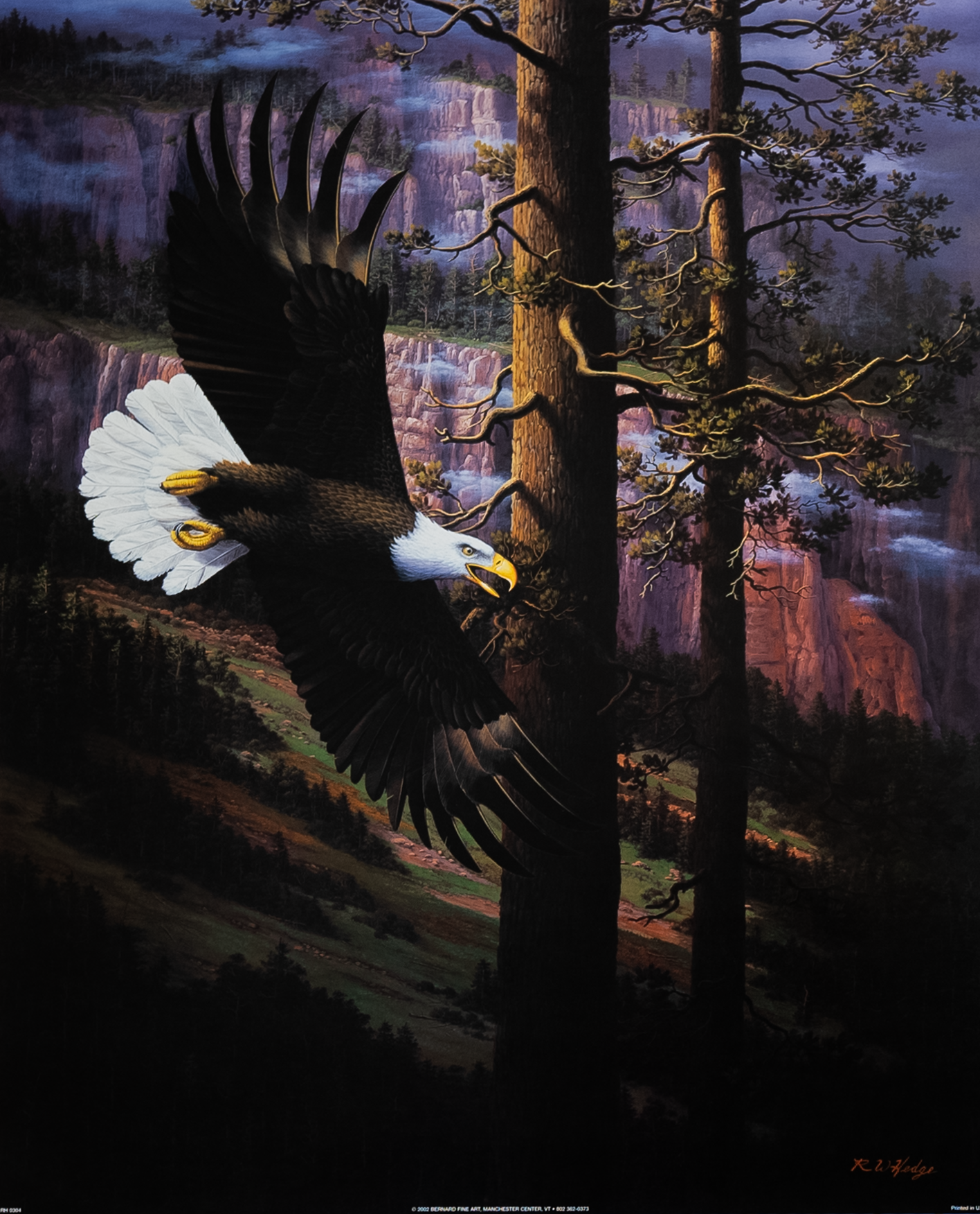 Flying Eagle II by Hedge, Art Poster Print for Wall, Home Decor