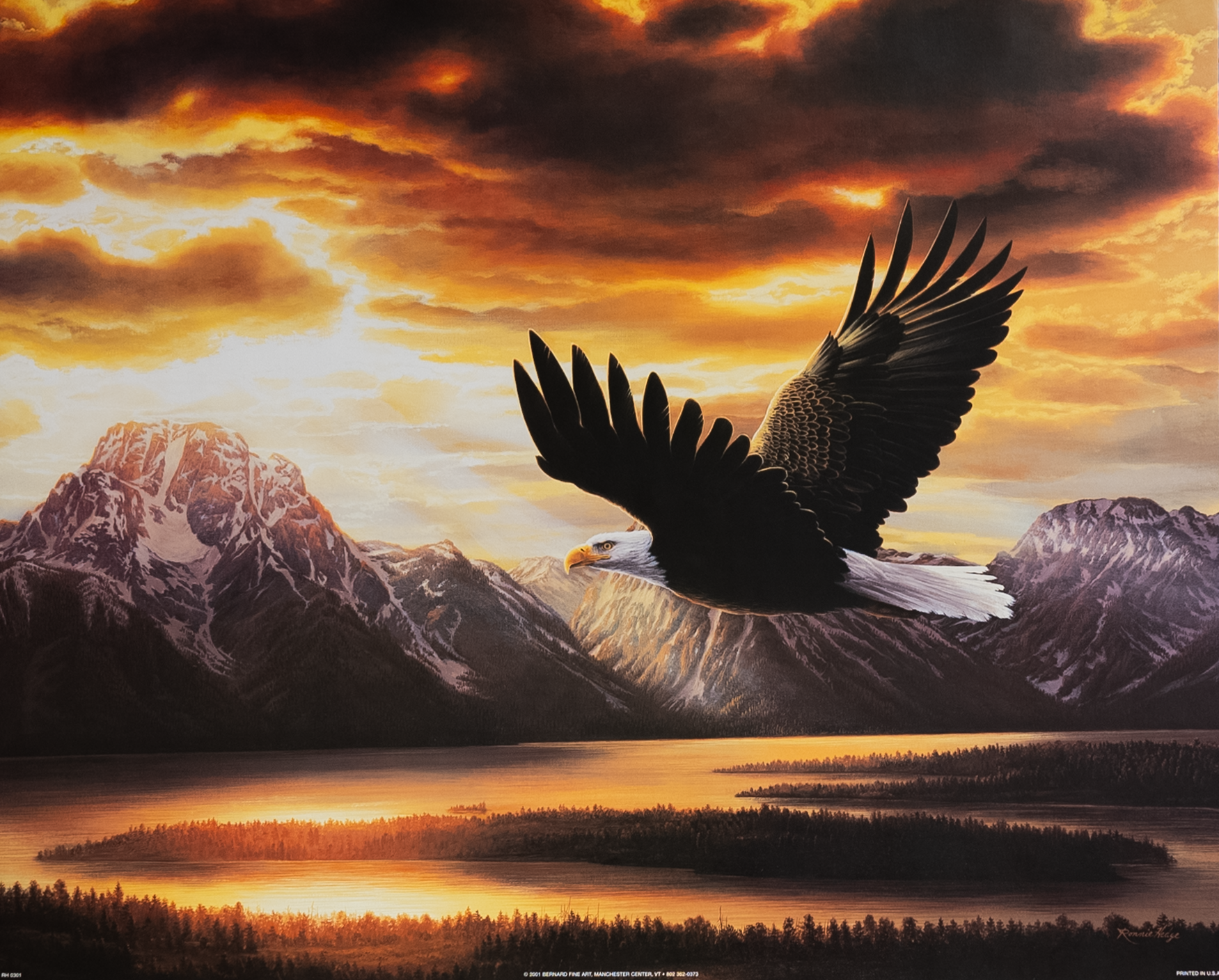 Flying Eagle III by Hedge, Art Poster Print for Wall, Home Decor