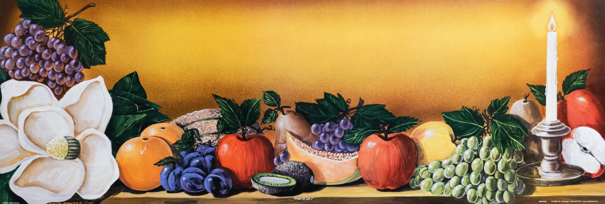 Fruit of Life I by David Gunter, Art Poster Print for Wall, Home Decor - Image 1