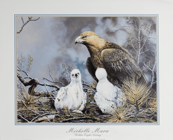 Golden Eagle Nesting art print by Mara