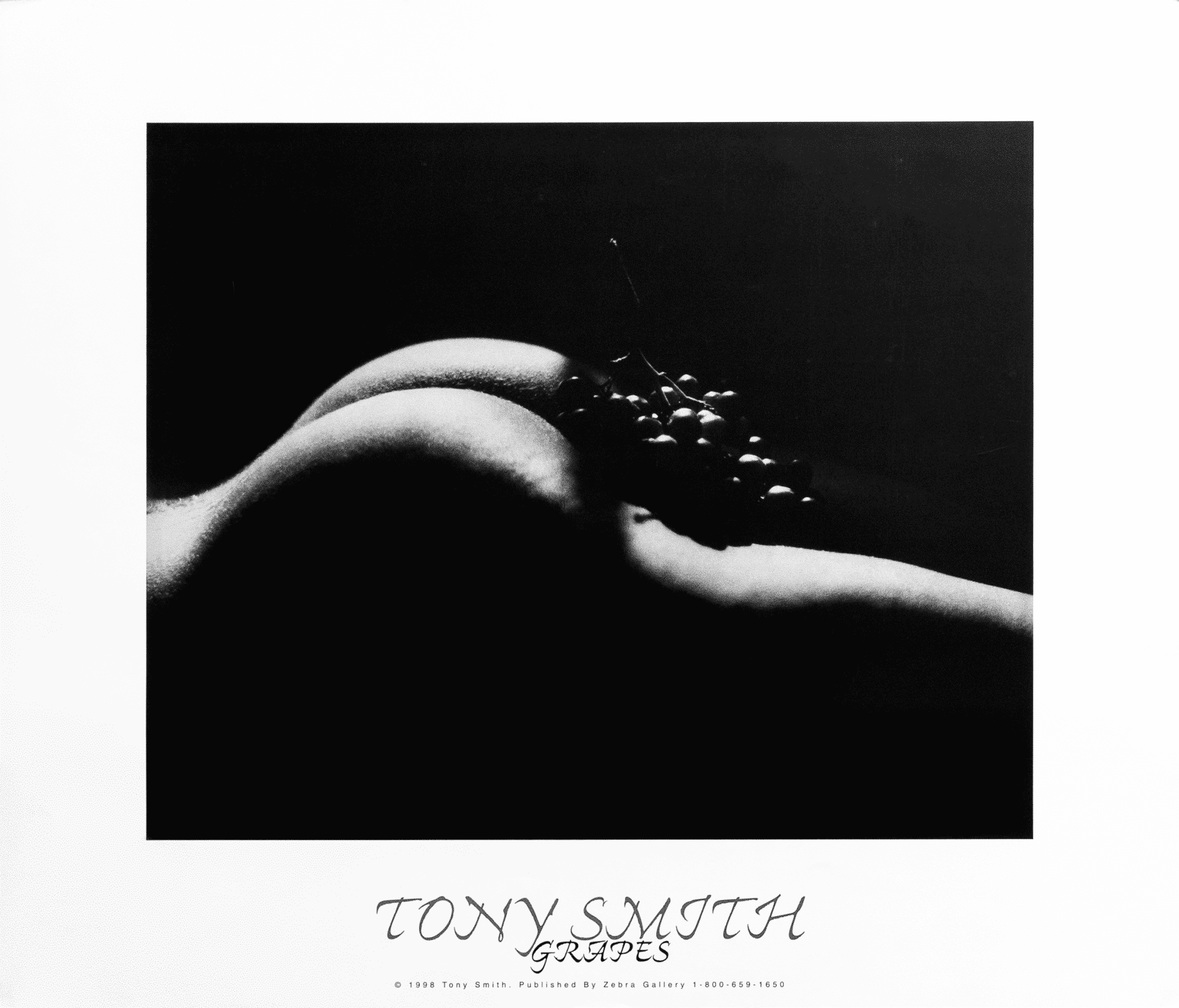 Grapes art print by Tony Smith