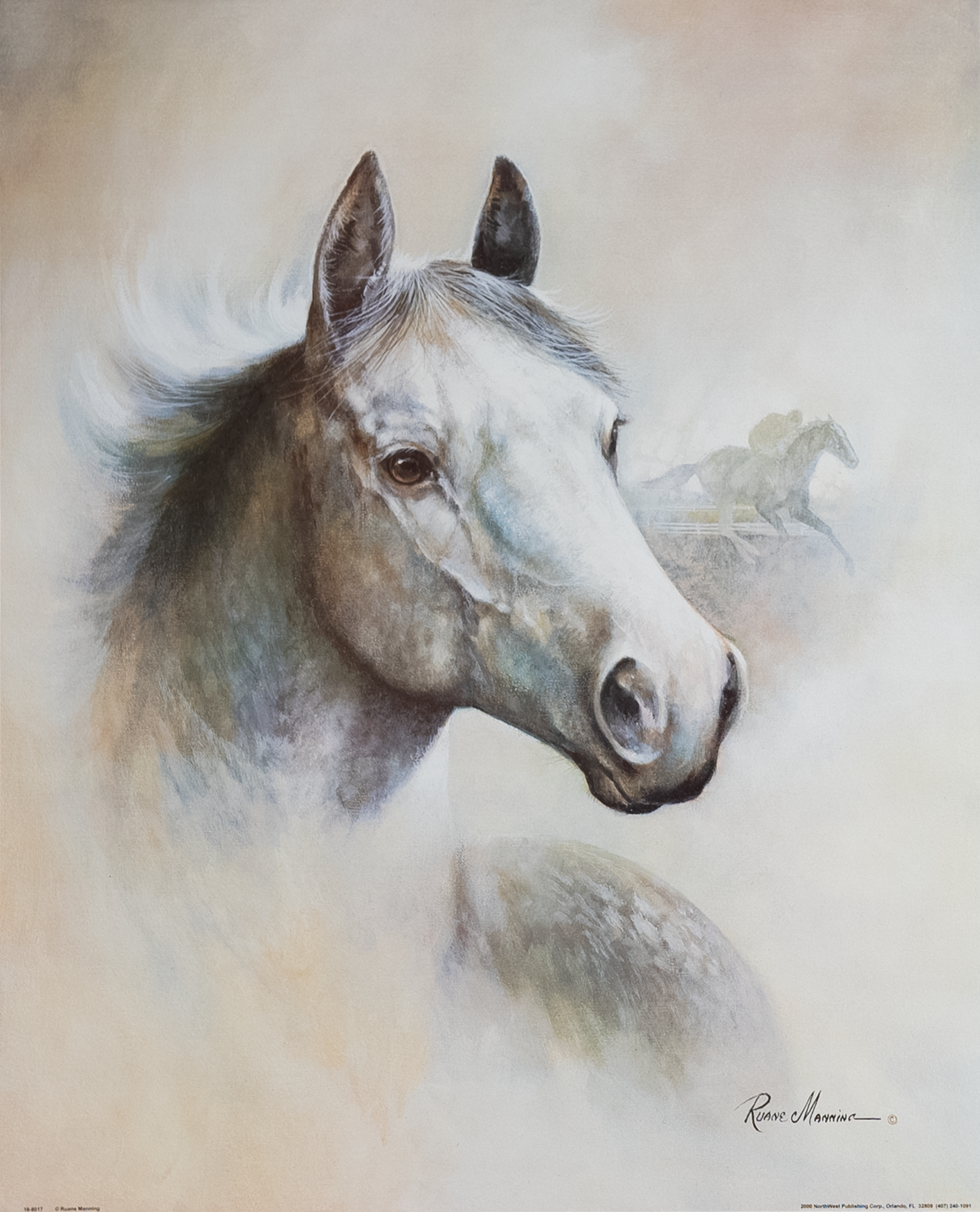 Horse Montage II by Manning, Art Poster Print for Wall, Home Decor