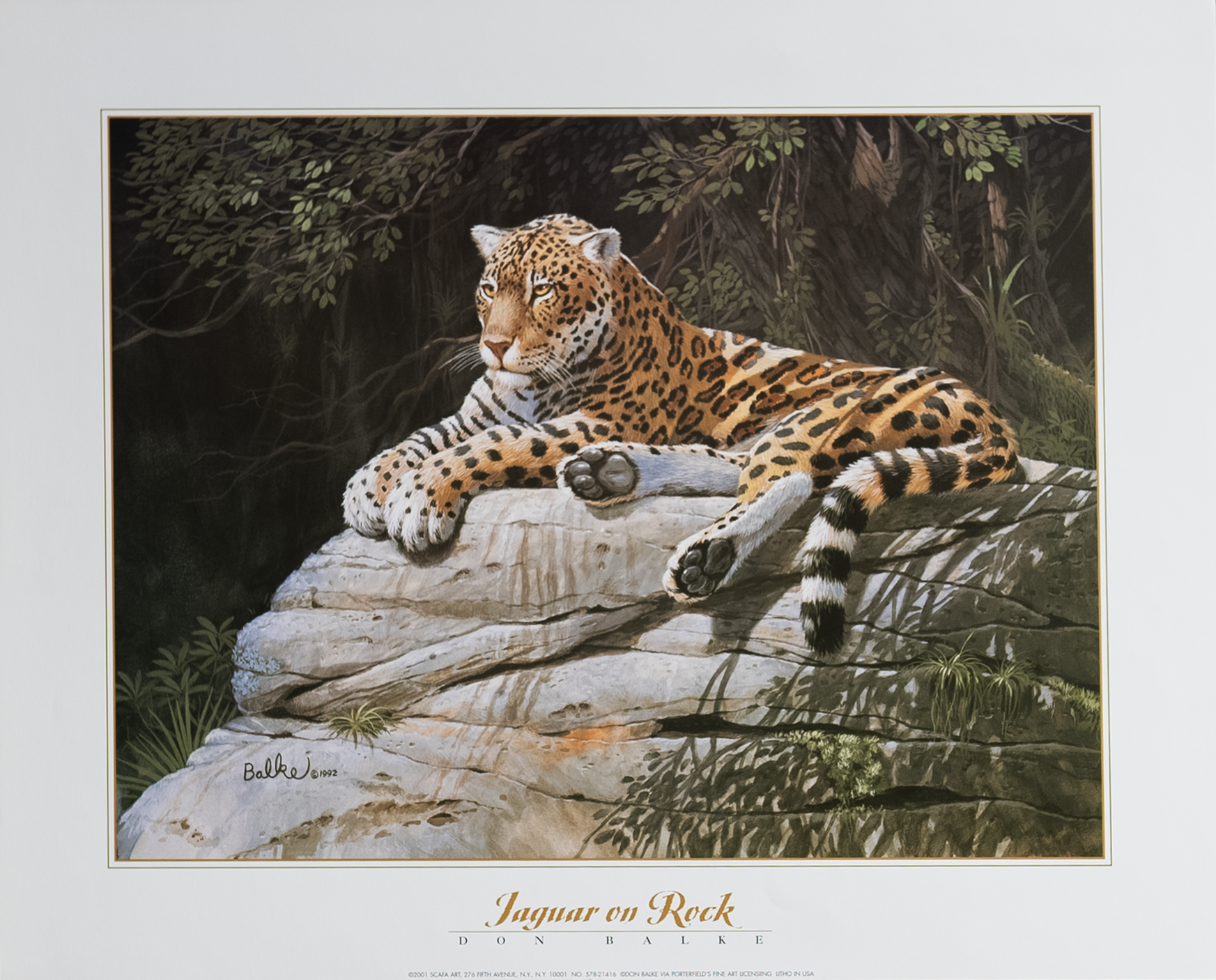 Jaguar on Rock by Balke, Art Poster Print for Wall, Home Decor