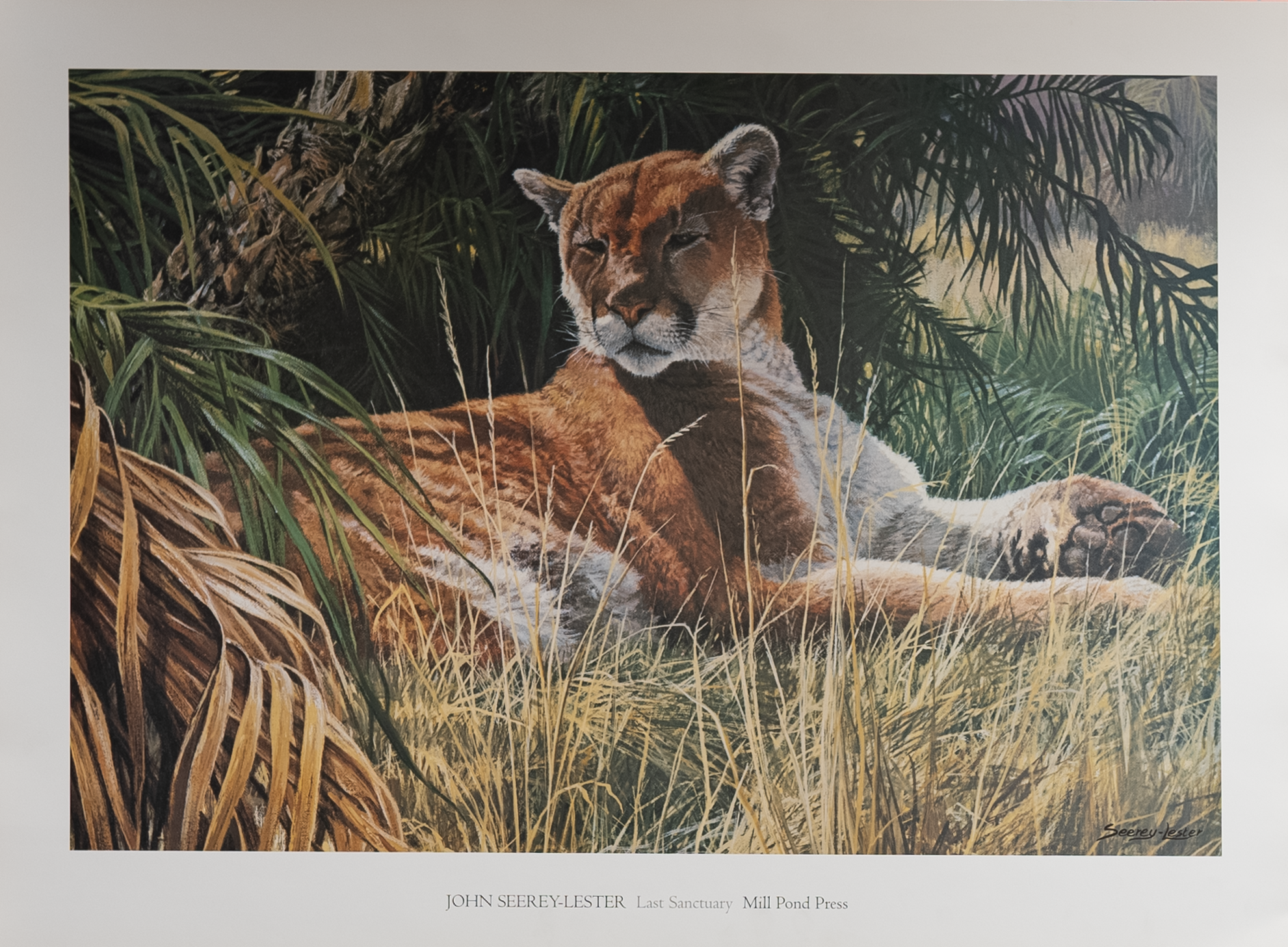 Last Sanctuary by Seerey Lester, Art Poster Print for Wall, Home Decor