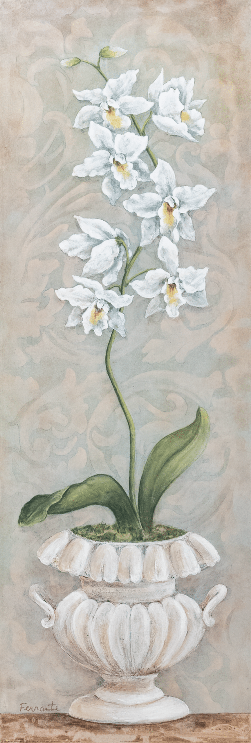 Lavish Orchids II by Angela Ferrante, Art Poster Print for Wall, Home Decor - Image 1