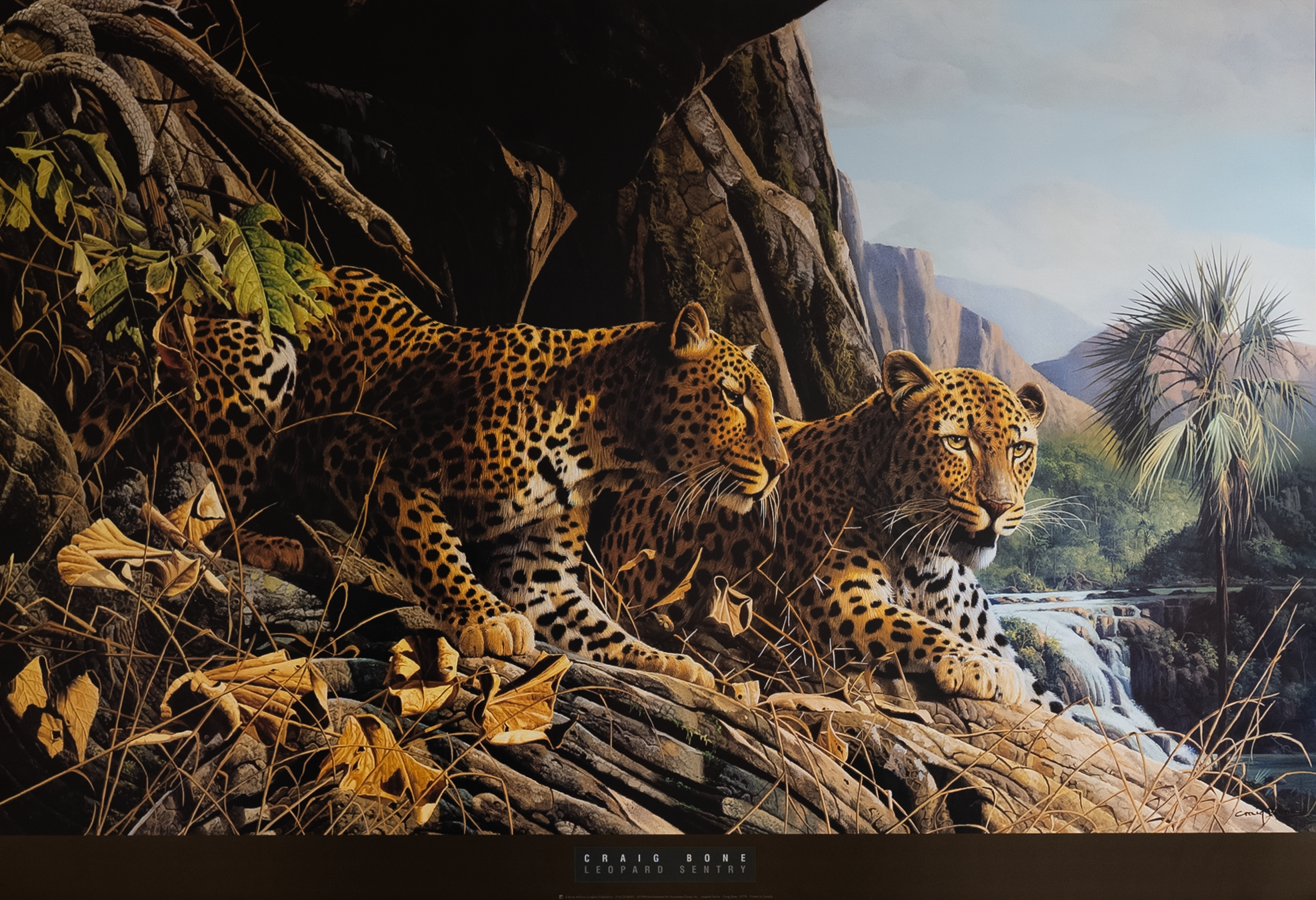Leopard Sentry by Bone, Art Poster Print for Wall, Home Decor