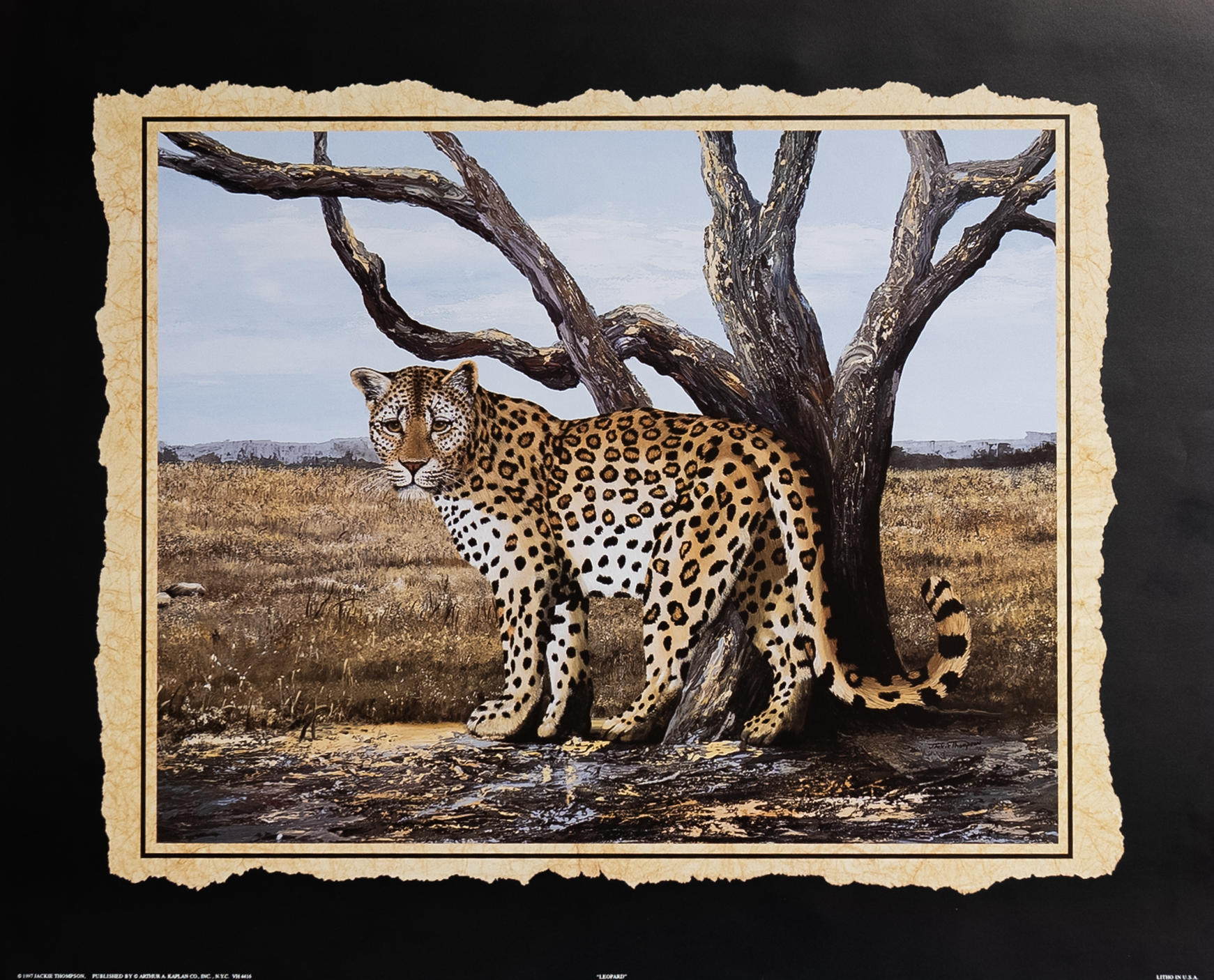 Leopard by Thompson, Art Poster Print for Wall, Home Decor