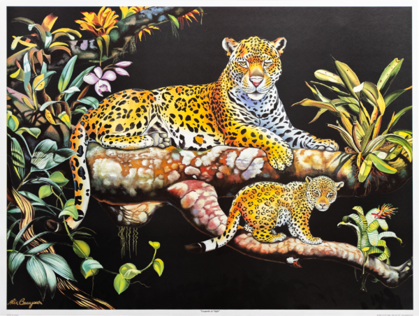 Leopards by Alix Beaujour, Art Poster Print for Wall, Home Decor