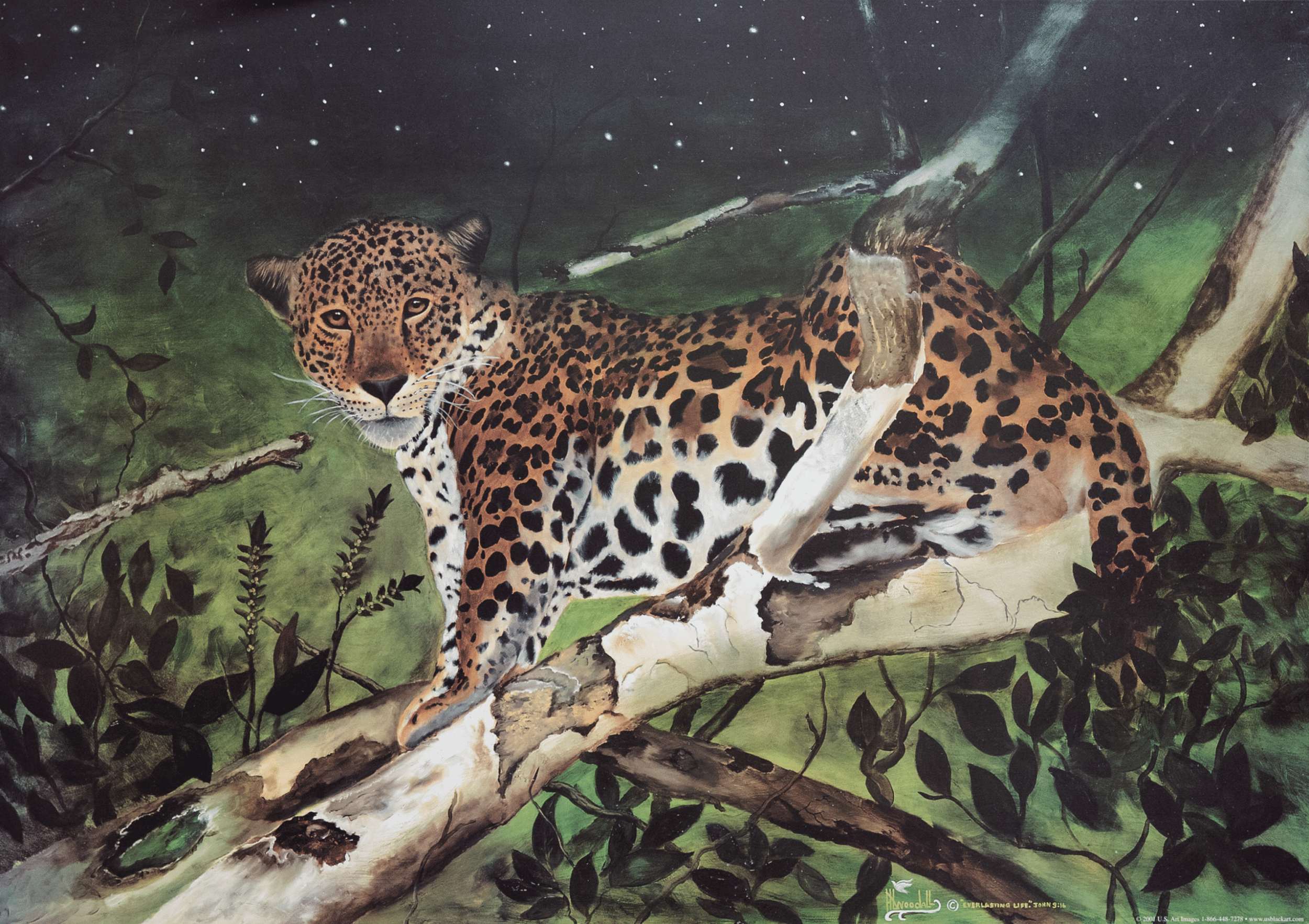 Leopards by HL Woodall, Art Poster Print for Wall, Home Decor - Image 1